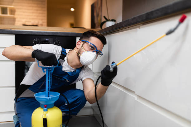 Best Pest Removal Services  in Davenport, IA