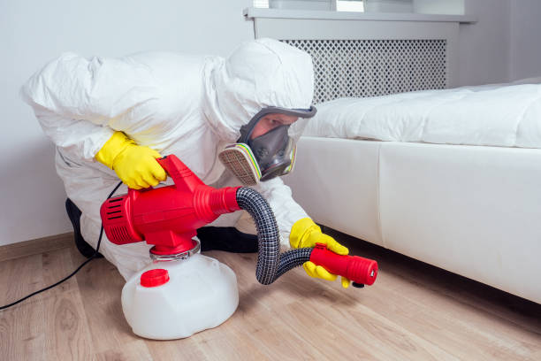 Best Cockroach Control Services  in Davenport, IA